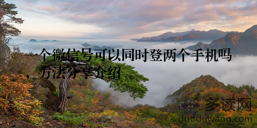 一个微信号可以同时登两个手机吗，方法分享介绍