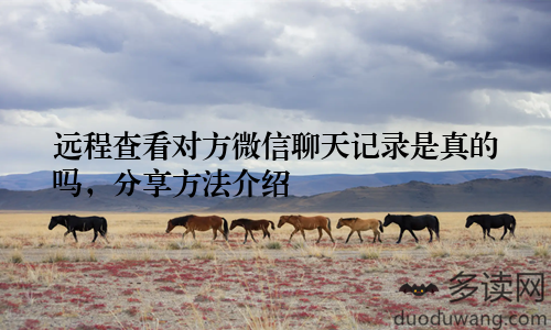 远程查看对方微信聊天记录是真的吗,分享方法介绍