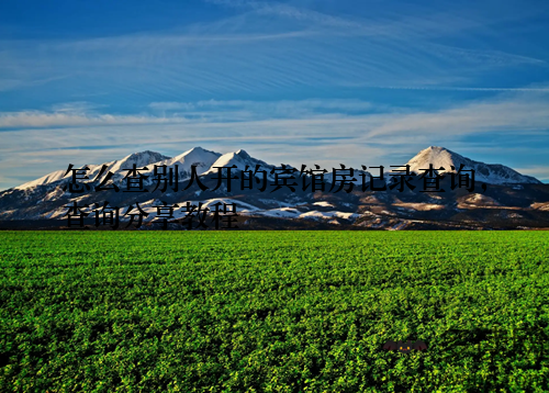 怎么查别人开的宾馆房记录查询,查询分享教程