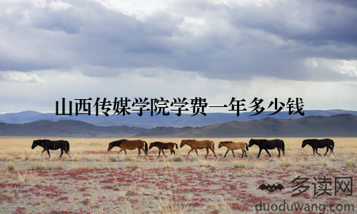 山西传媒学院学费一年多少钱