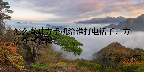 怎么查对方手机给谁打电话了，方法分享教程