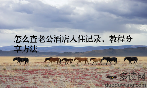 怎么查老公酒店入住记录，教程分享方法
