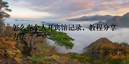 怎么查个人开宾馆记录，教程分享方法