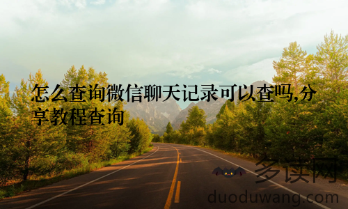 怎么查询微信聊天记录可以查吗,分享教程查询