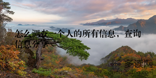 怎么调查一个人的所有信息，查询信息分享