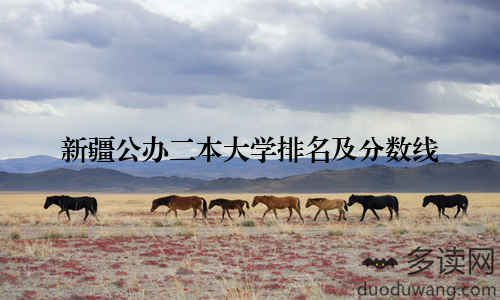 新疆公办二本大学排名及分数线