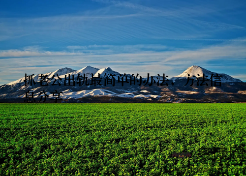 抓老公出轨最简单的办法，方法信息分享