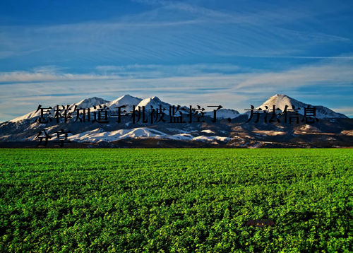 怎样知道手机被监控了，方法信息分享