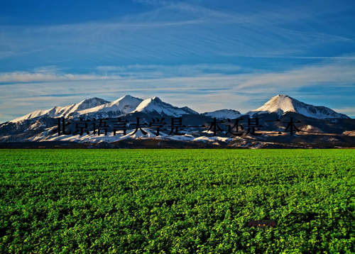 北京语言大学是一本还是二本