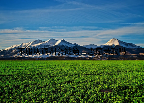 不服从调剂会被第二志愿录取吗