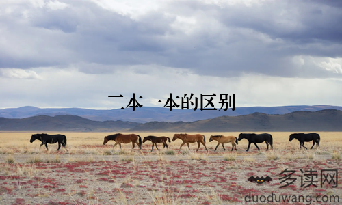二本一本的区别