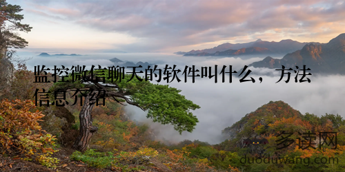 监控微信聊天的软件叫什么，方法信息介绍