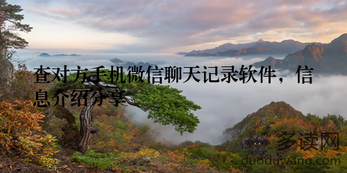 查对方手机微信聊天记录软件，信息介绍分享