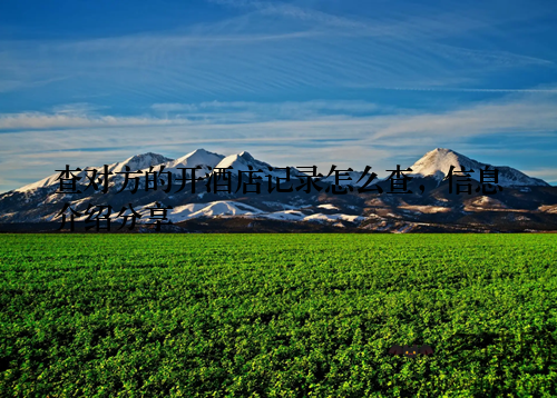 查对方的开酒店记录怎么查,信息介绍分享