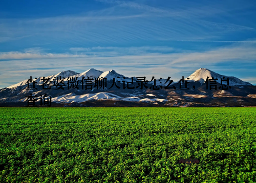 查老婆微信聊天记录怎么查，信息查询