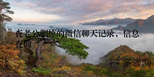 查老公删掉的微信聊天记录，信息查询