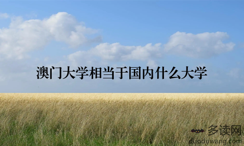 澳门大学相当于国内什么大学