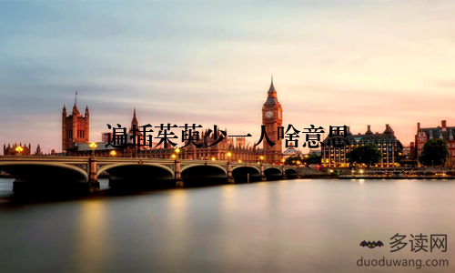 遍插茱萸少一人啥意思