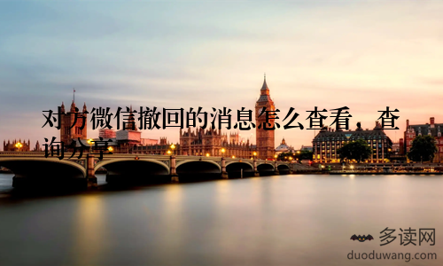 对方微信撤回的消息怎么查看,查询分享