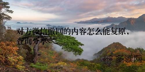 对方微信撤回的内容怎么能复原，查询分享