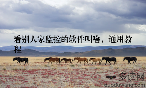 看别人家监控的软件叫啥，通用教程