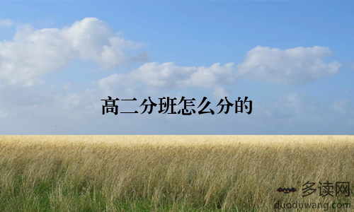 高二分班怎么分的