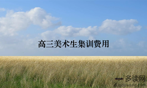 高三美术生集训费用