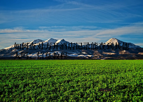 如何查对方开酒店记录能查到其他人吗，信息教程